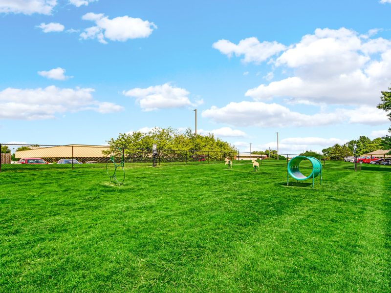 TGM Shadeland Station Apartments Bark Park 5