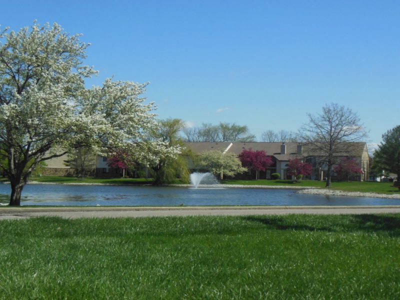 This image shows the scenic glimpse of the lake-side featuring a peaceful environment and a fountain on it.