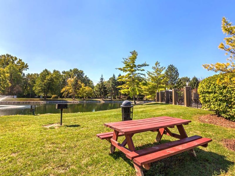 This image exhibits a relaxing view of the picnic area featuring a calm lake view and BBQ area that was perfect for a family and colleagues to stay.